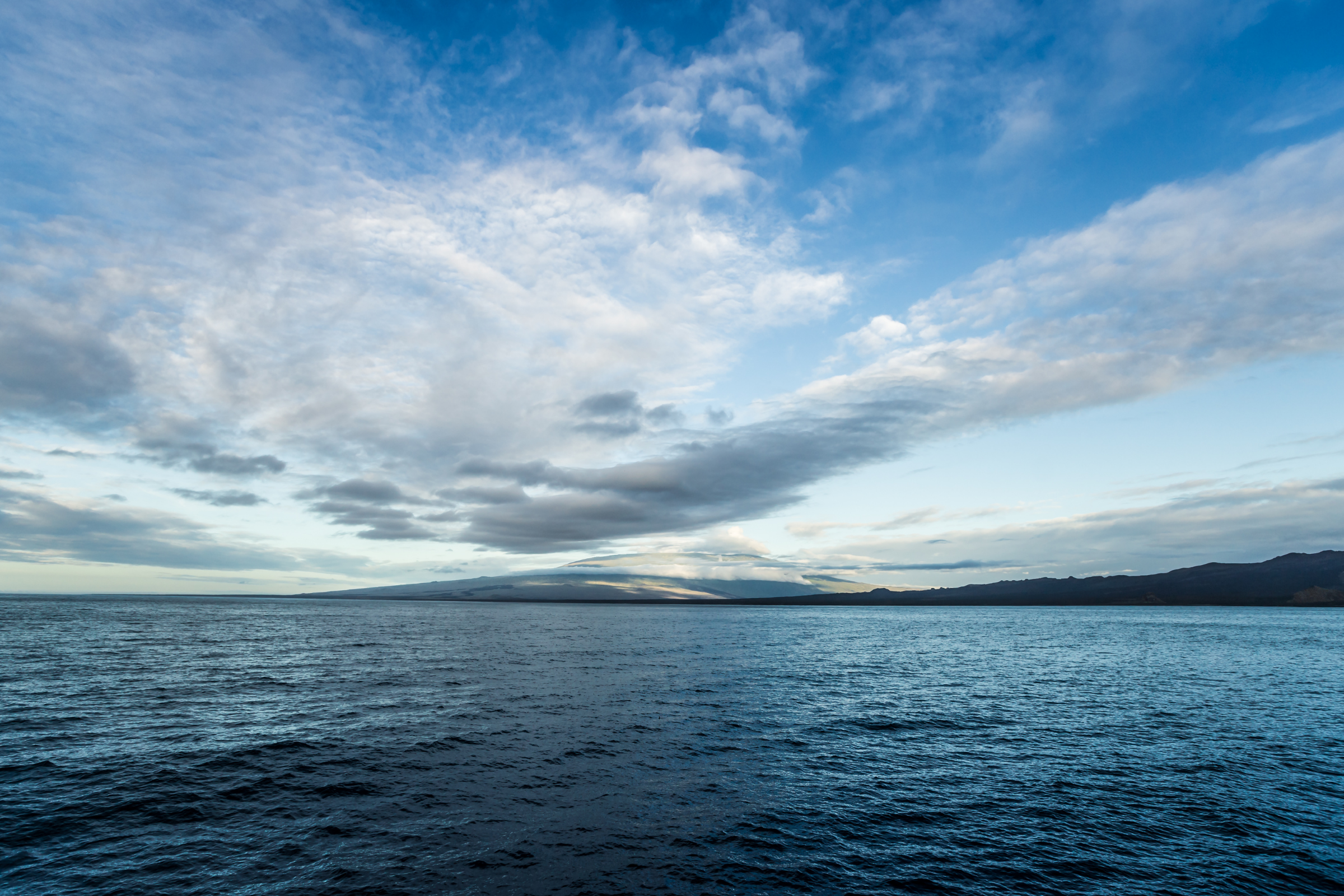 69 isabela island.webp